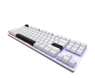 DARK PROJECT DPO87 White TKL G3MS Sapphire Hot-Swap DPP87_GSH_WHITE_ANSI_ENG - 1279858 - zdjęcie 7